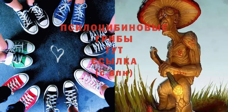 Псилоцибиновые грибы Magic Shrooms  купить  цена  Мирный 